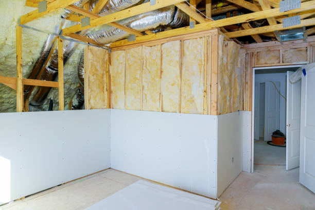 Best Insulation for New Construction  in Larksville, PA